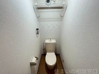 同型