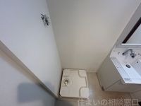 同型