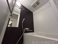 同型