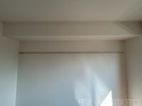 同型