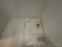 同型