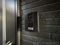 同型