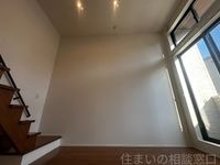 同型