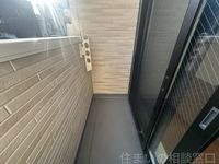 同型