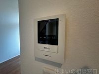 同型