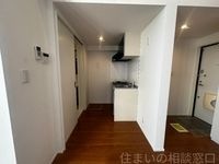 同型