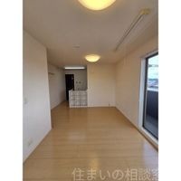 同型