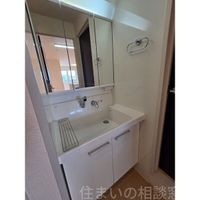 同型