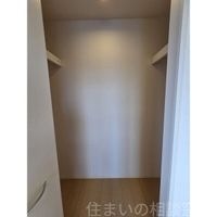 同型