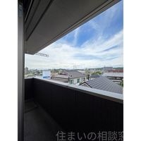同型
