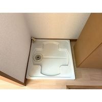 同型