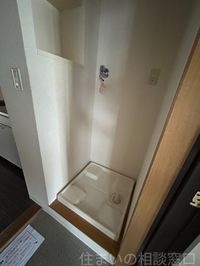 同型