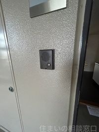 同型