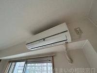 同型