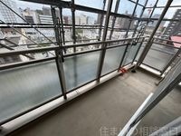 同型
