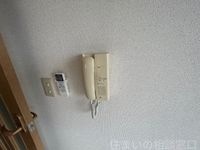 同型