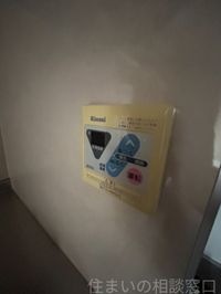 同型