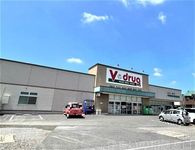 V・drug岡崎堂前店