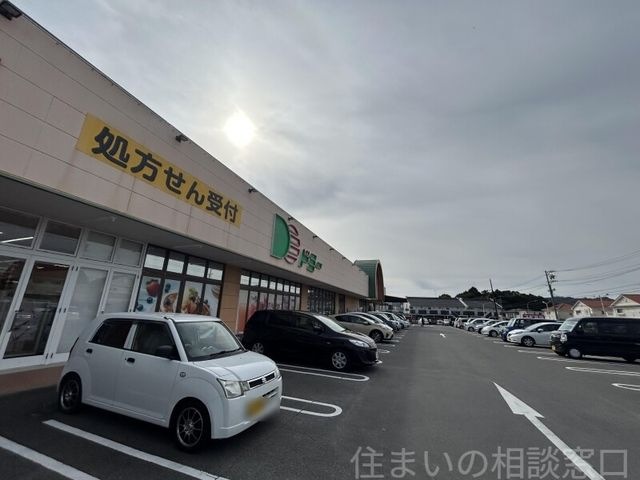 ドミー幸田店