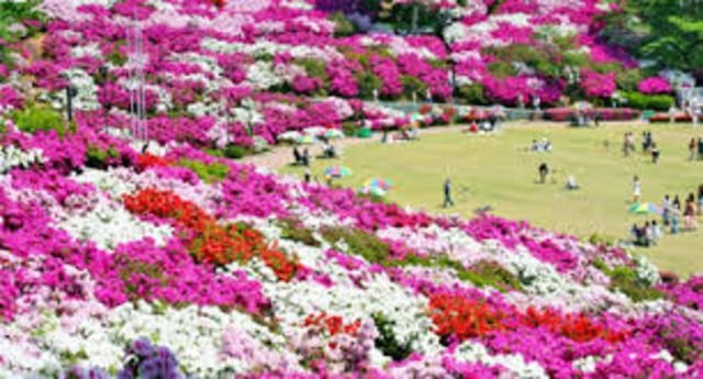 西山公園