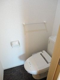 落ち着いた色調のトイレです