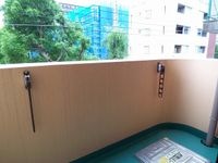 展望