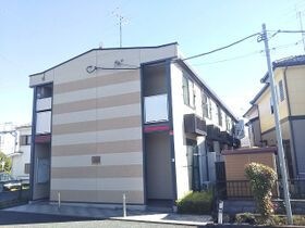 ガーベラの外観
