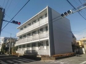 花水木の外観