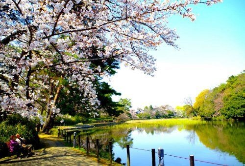 大宮公園