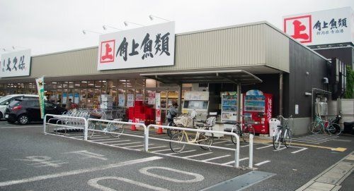 写真：角上魚類 大宮店