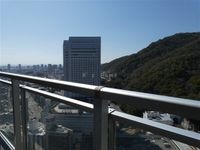 展望