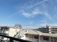 展望