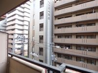 展望