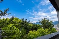 展望