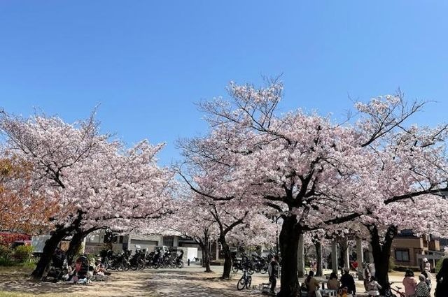 八ツ松公園