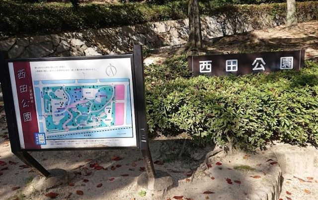 写真：西田公園