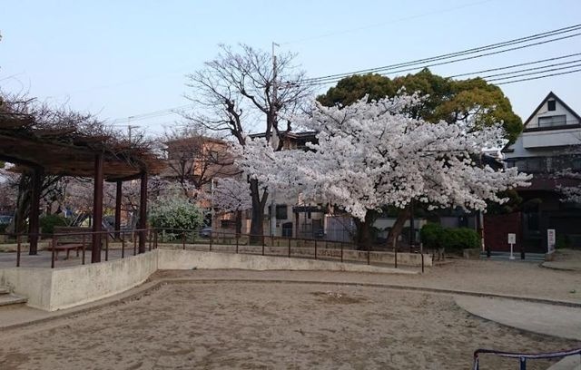 御代開公園