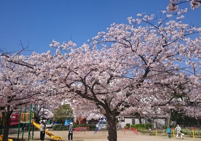 老松公園