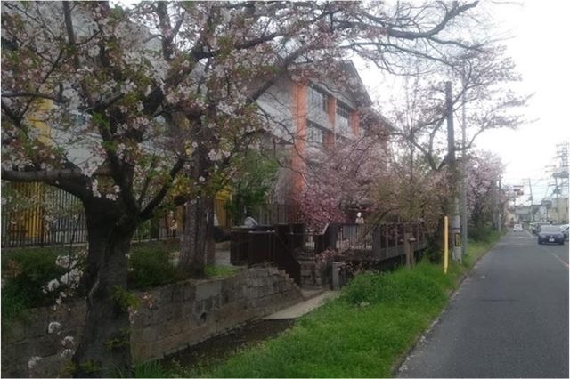 大阪府立 山本高等学校