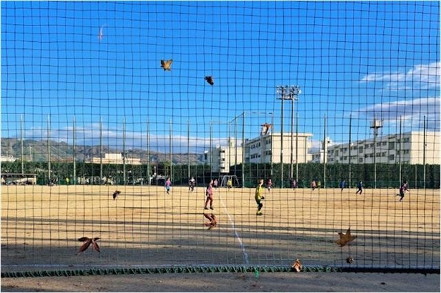 写真：八尾市立 青少年運動広場