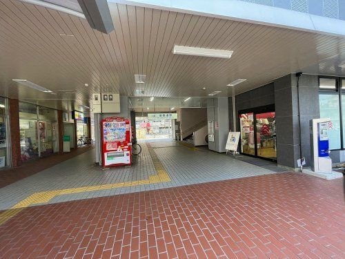写真：俊徳道