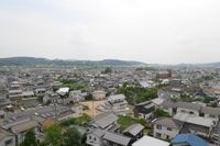 展望