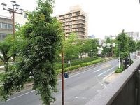 西側バルコニーからの眺望 ※2019年7月撮影