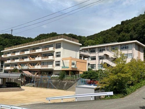 津島小学校