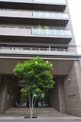 写真：ロイヤルガーデン中山下の外観