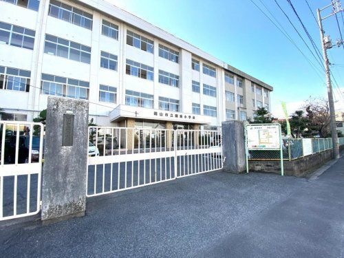 写真：岡南小学校