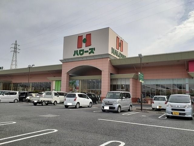 ハローズ 江崎店