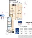 ZOOM下丸子の間取図