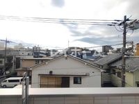 展望