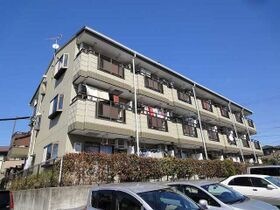 マメゾンT・Sの外観